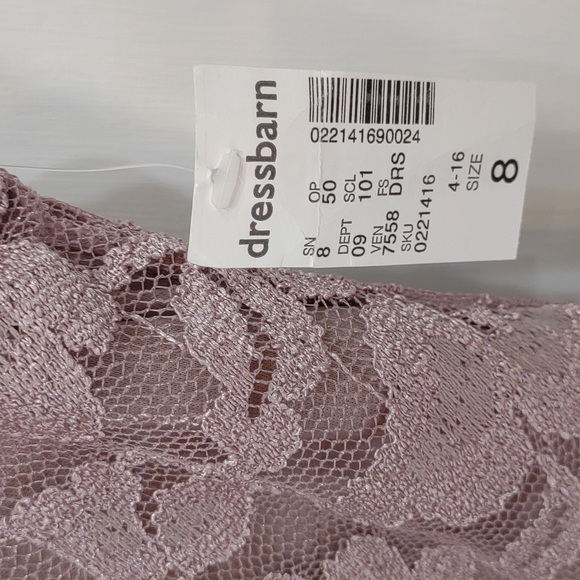 Taupe Lace Dress - Picture 6 of 6